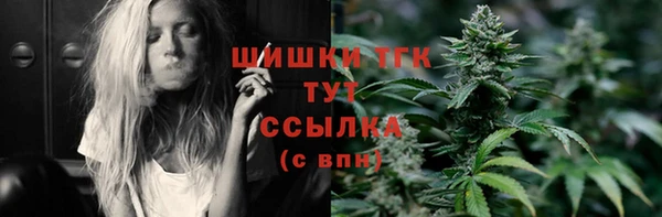 PSILOCYBIN Аркадак
