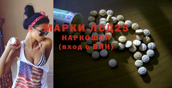 PSILOCYBIN Аркадак